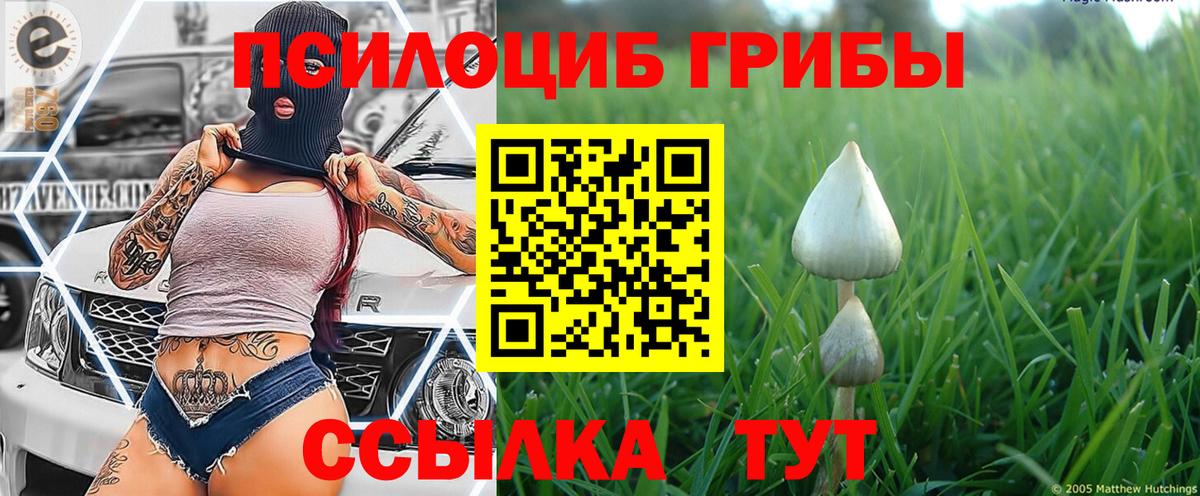 Псилоцибиновые грибы Psilocybe  Вход с VPN  Махачкала 