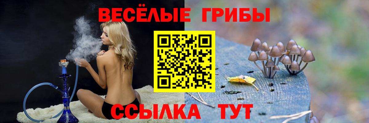 Псилоцибиновые грибы Psilocybine cubensis Махачкала